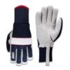 SWIX Gloves Powder